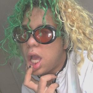 Meet your Posher, Sjon